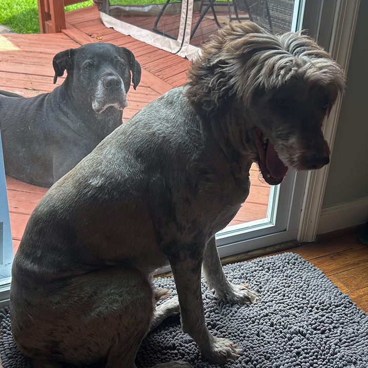 Archer & Linkin