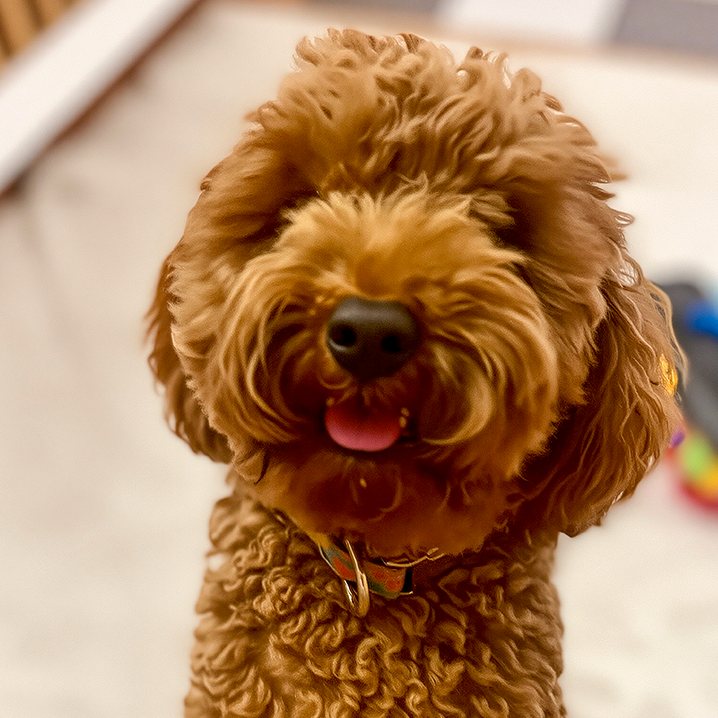 Winnie